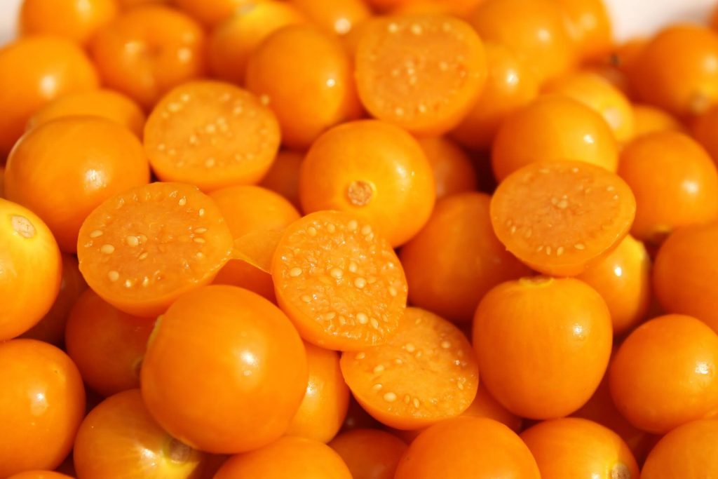 Uchuva, fruta tropical, frutas colombianas, uchuvas en primer plano de color naranja, trucos de belleza, cuidado de la piel 