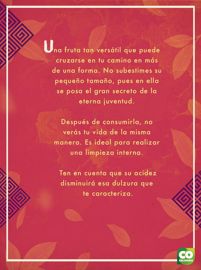IMAGEN-Frutas de Colombia - Tarot - Uchuva | Marca País Colombia