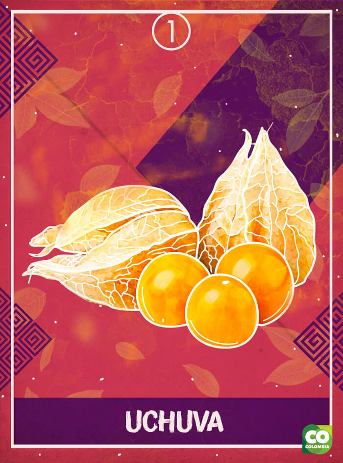 IMAGEN-Frutas de Colombia - Tarot - Uchuva | Marca País Colombia