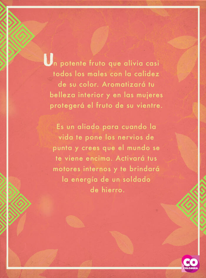 IMAGEN-Frutas de Colombia - Tarot - Naranja | Marca País Colombia