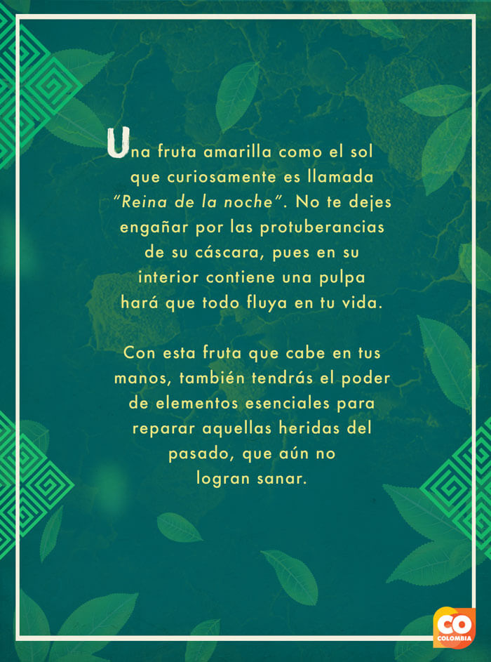 IMAGEN-Frutas de Colombia - Tarot - Pitahaya Amarilla | Marca País Colombia