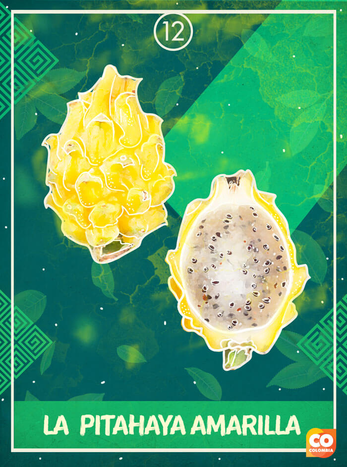 IMAGEN-Frutas de Colombia - Tarot - Pitahaya Amarilla | Marca País Colombia