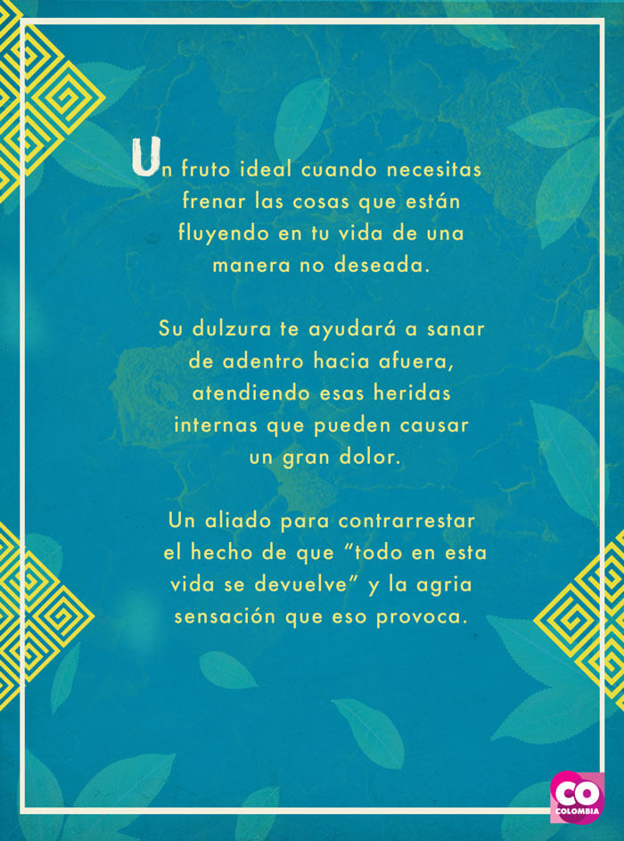 IMAGEN-Frutas de Colombia - Tarot Passifloras - Granadilla | Marca País Colombia
