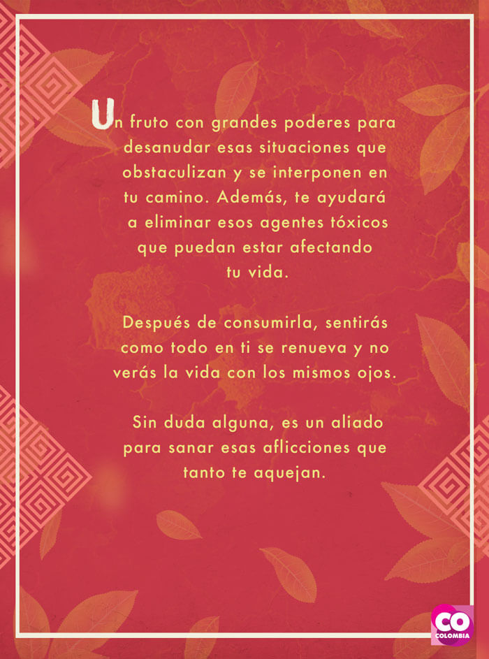 IMAGEN-Frutas de Colombia - Tarot - Papaya | Marca País Colombia