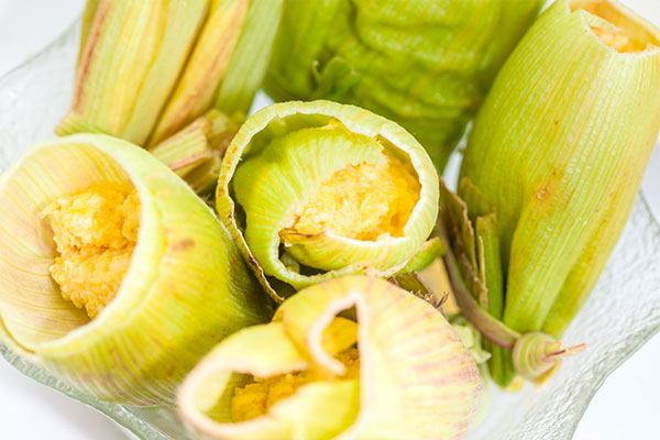 Envolturas biodegradables con tipos de hojas de plantas colombianas