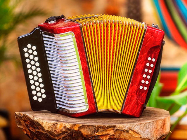 Acordeon