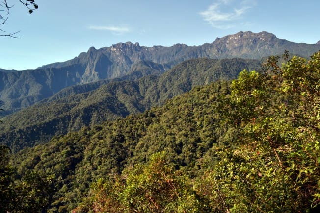 Montañas del Parque Nacional Natural Tatamá.