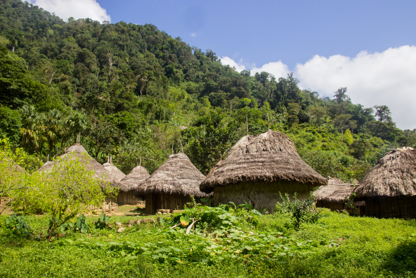 Ciudad Perdida, tierra ancestral. 