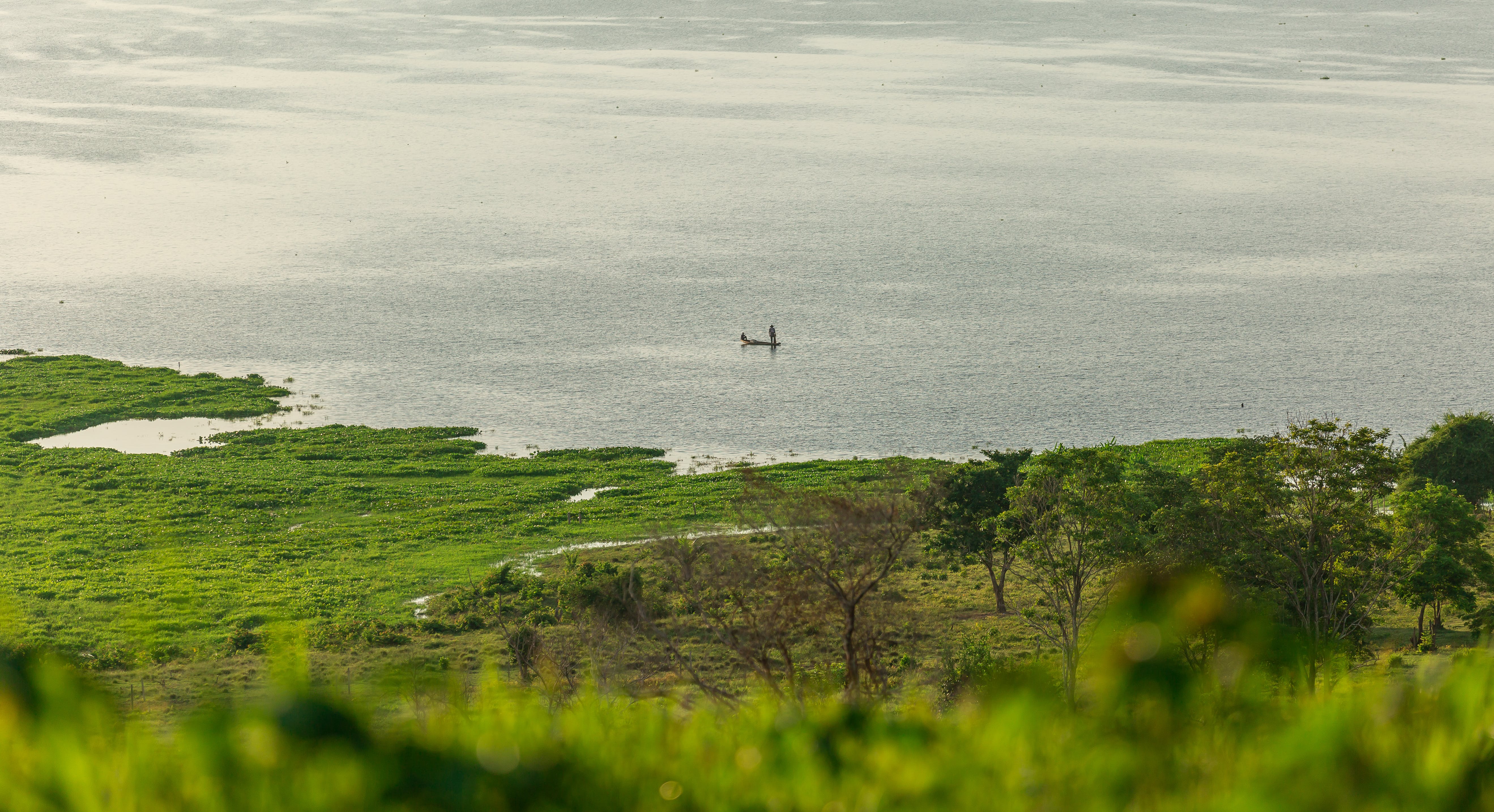 Foto de Juan Sebastián González R.: https://www.pexels.com/es-es/foto/persona-agua-barca-arboles-13806365/