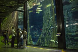 Parque Explora en Medellín, Colombia
