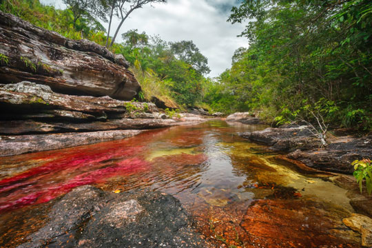 Cano Cristales, Colombian Rivers