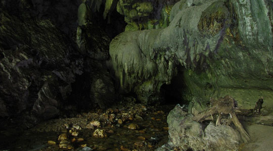Cueva de los Guacharos, Oilbird's cave