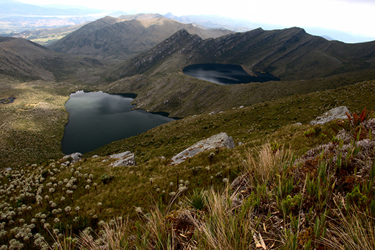 colombian nature