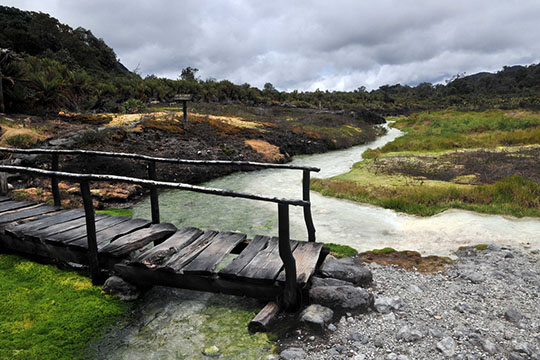 colombian paramos