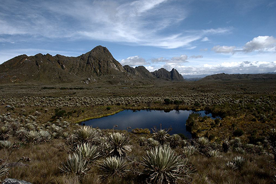 colombian paramos