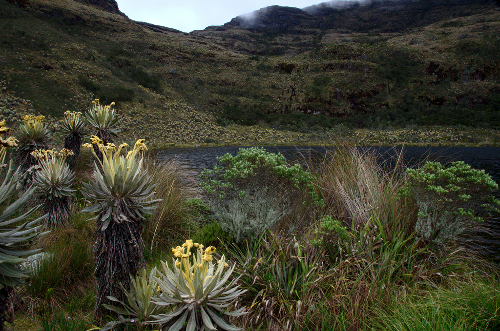 Laguna Iguaque