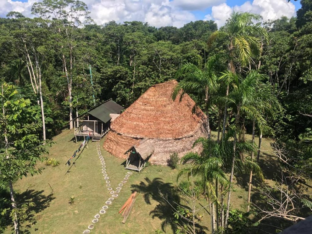 Palmari