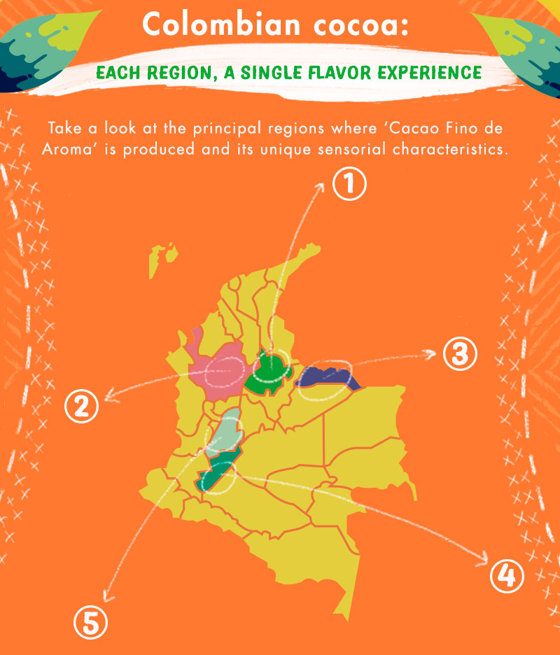 cocoa regions of Colombia - cocoa production - dark chocolate