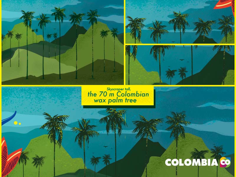 Colombia’s biodiversity, second in plant species on earth | Colombia Country Brand