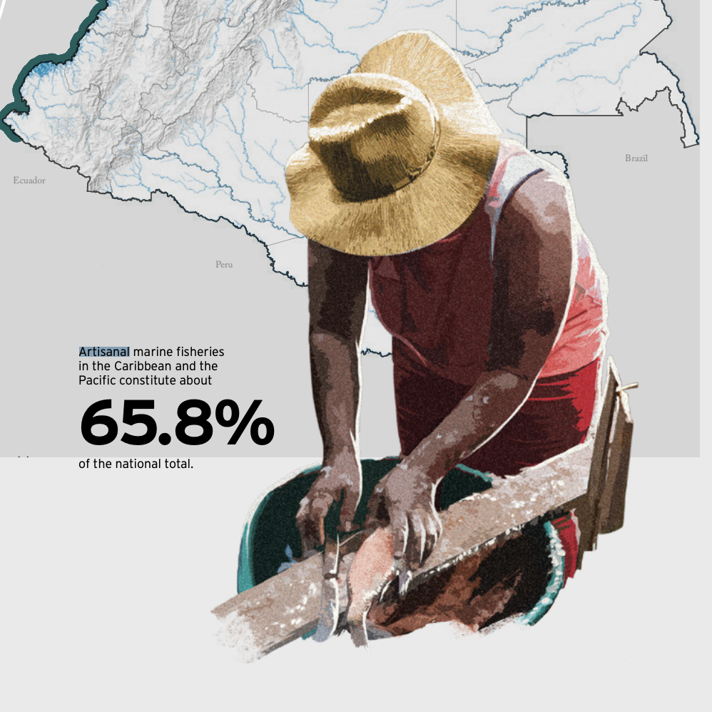 Artisanal fishing in Colombia