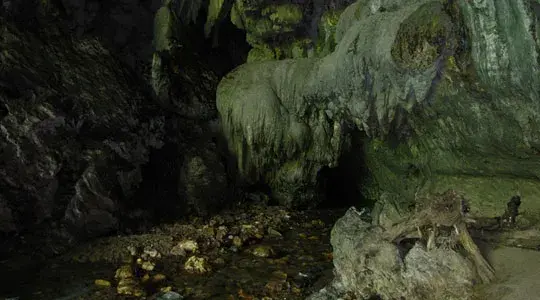 Cueva de los Guacharos, Oilbird's cave