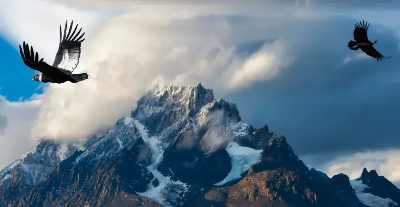 Andean region condors flying over the mountains