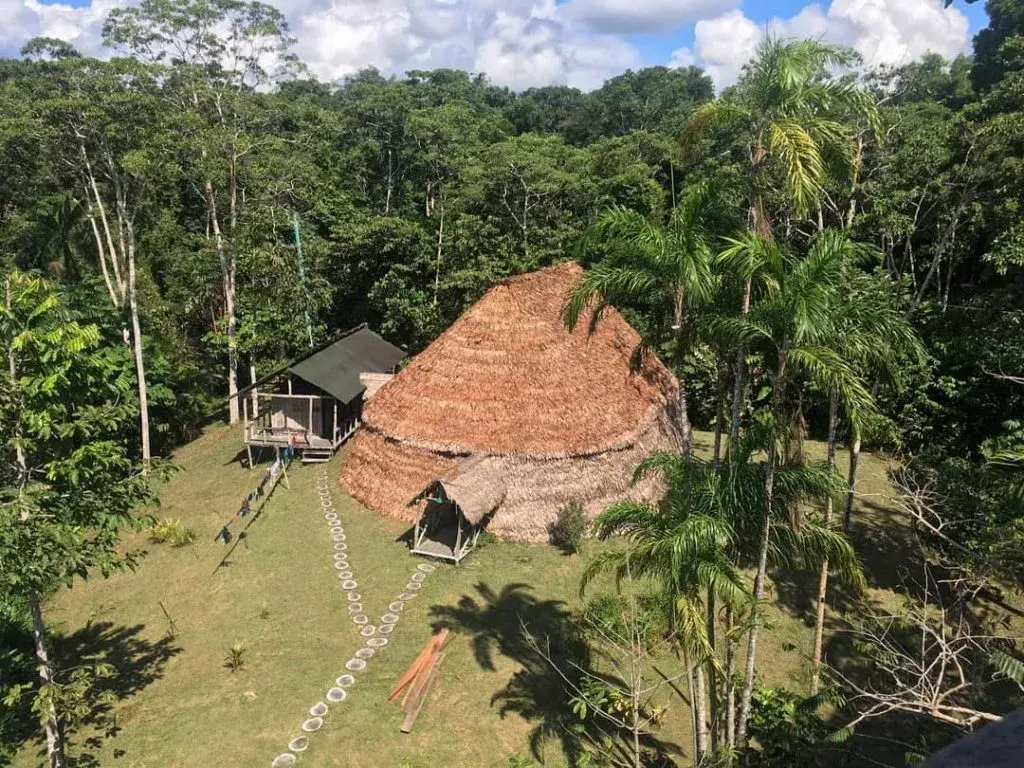 Palmari