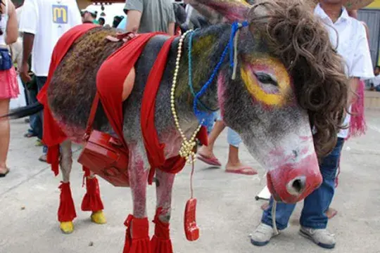 The Donkey Festival