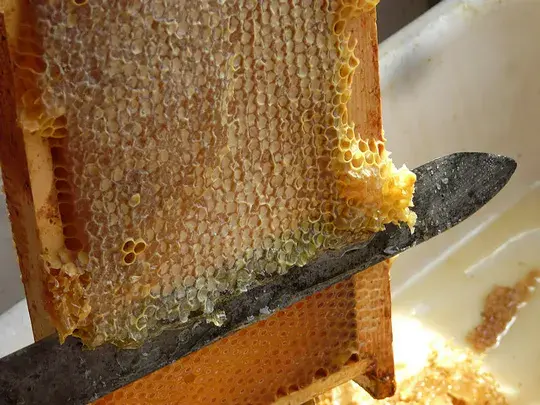 The Honey Festival