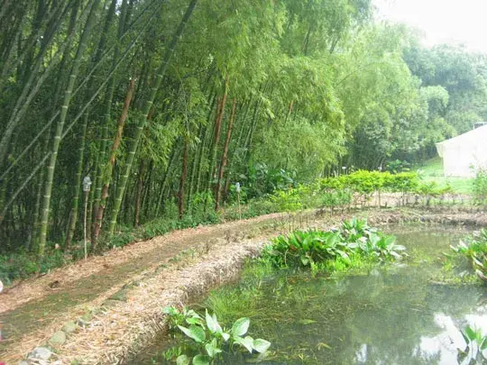 turismo agroecológico en colombia, turismo en colombia, agricultura, parque agroecológico, la tierra prometida, quindío