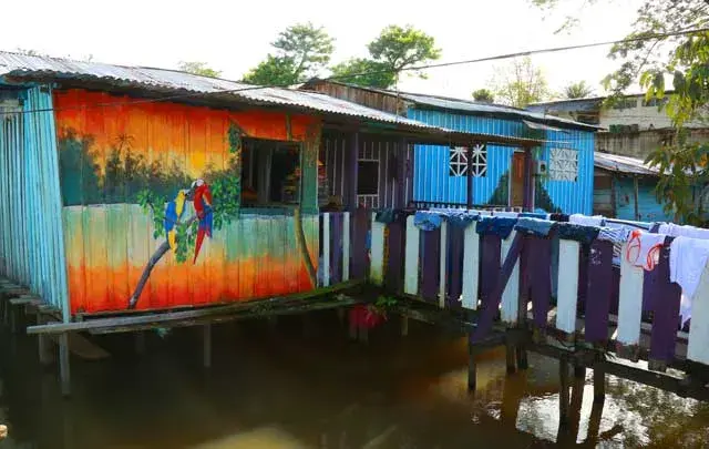 Fotos de Colombia: Amazonas colombiano