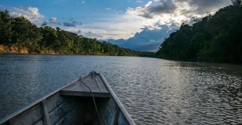 Sunset amidst trees in Vaupes of Colombia