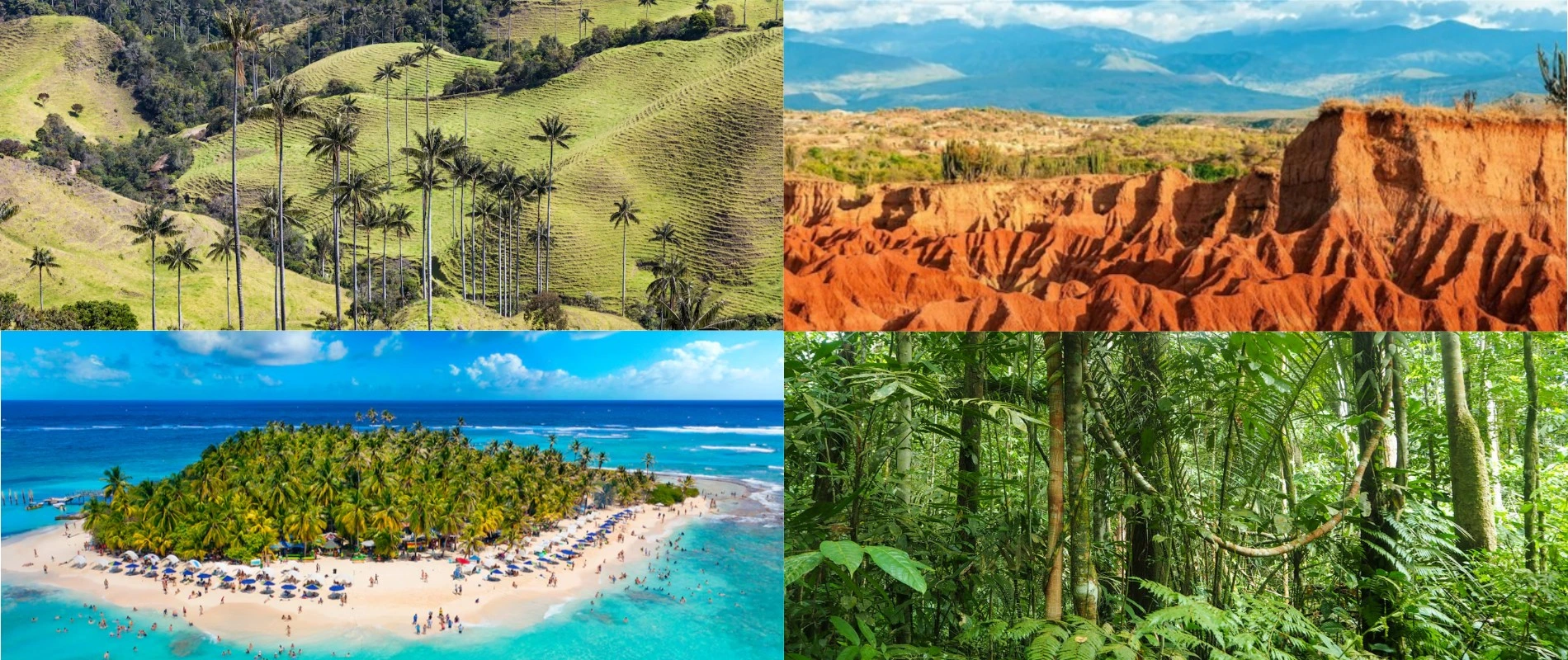 Ecosistemas de Colombia: bosques, páramos, desiertos y playas