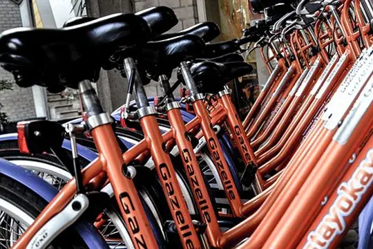 Row of orange bicycles available for rent