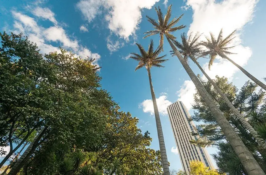 Palmas de cera y edificios en Bogotá con cielo azul y nubes