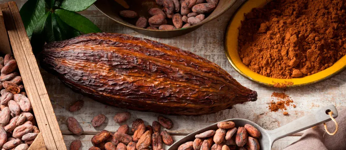Cacao
