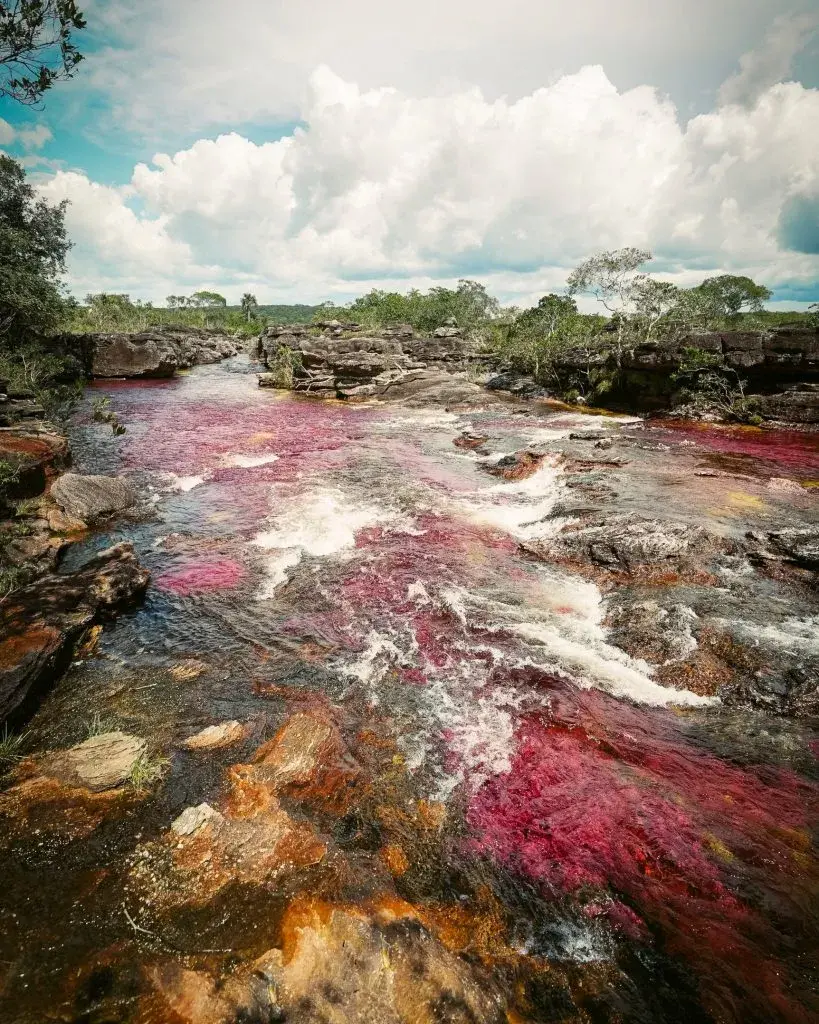 Alan por el Mundo visitó Caño Cristales