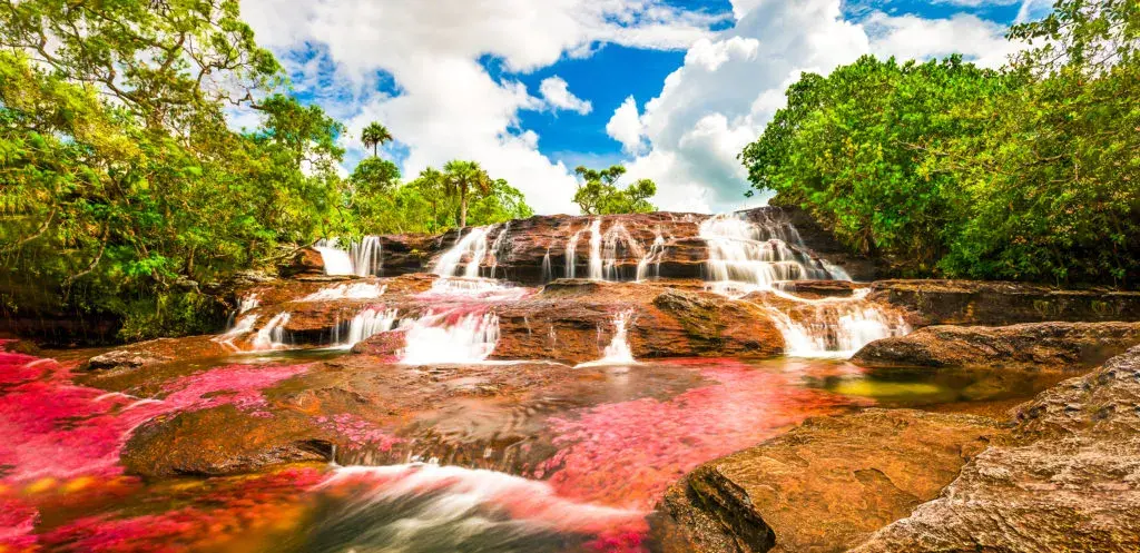 Caño cristales, el río de los siete colores