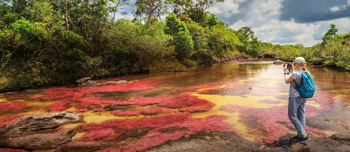Vista de Caño Cristales, en el Parque Nacional Natural Sierra de La Macarena, con aguas de colores  rodeadas de vegetación