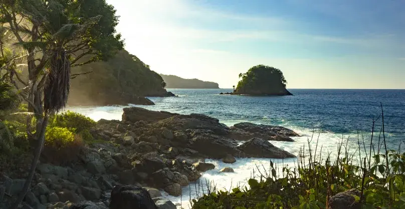 Acantilado rocoso con vegetación y un islote en el mar azul.
