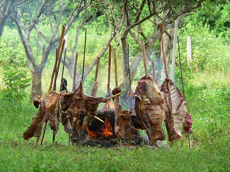 Carne asada llanero style cooking on the fire.