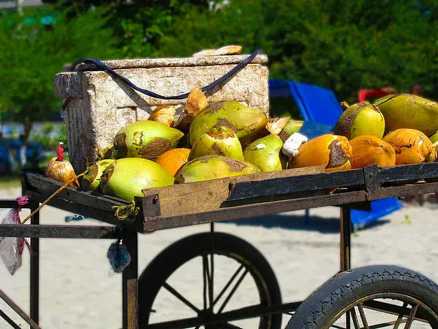 Coconut cart on the beach ready to refresh.