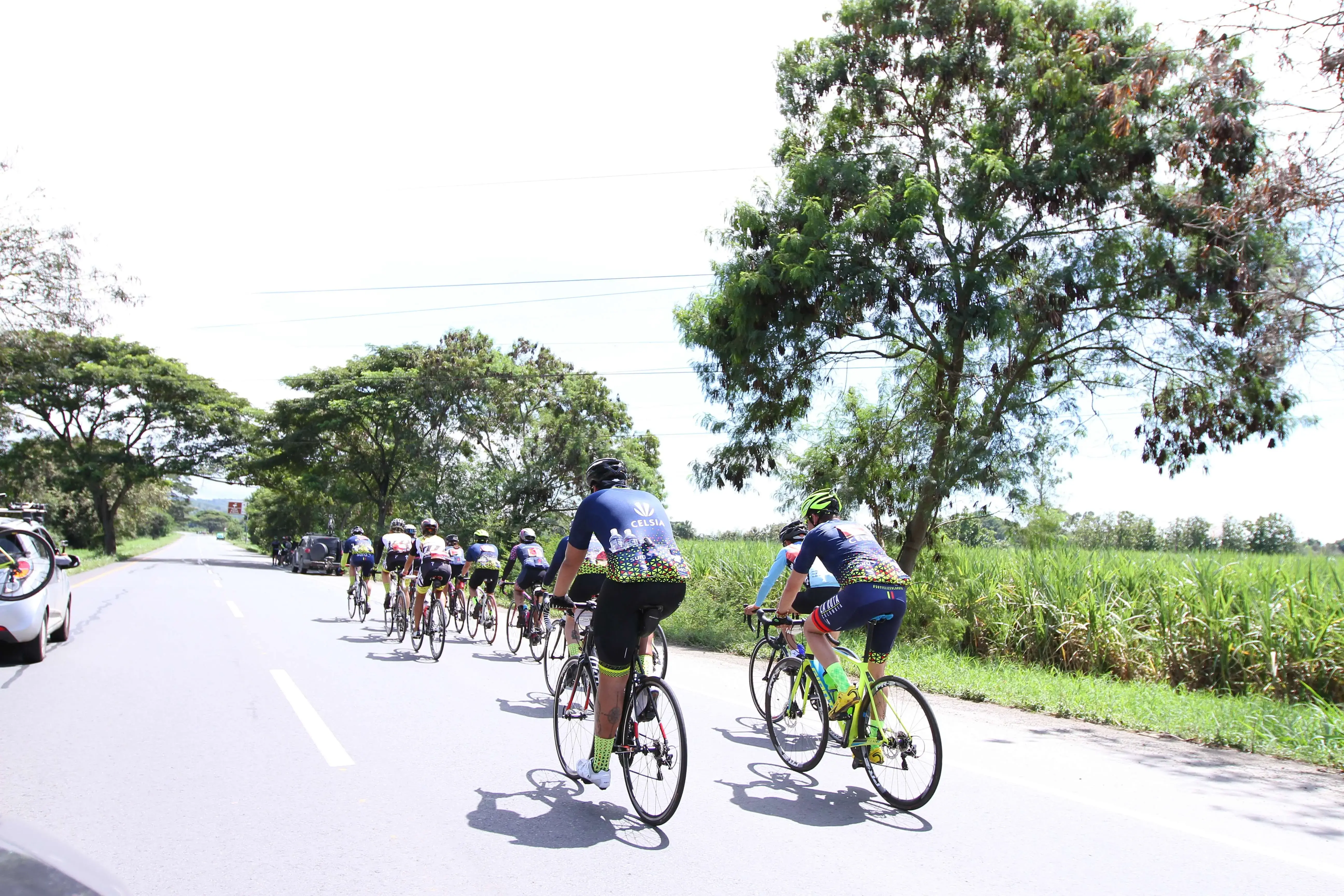 Grupo de ciclistas con uniformes azules y blancos en carretera con campo.
