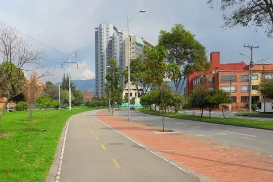 Cycle route surrounded by trees in Bogota