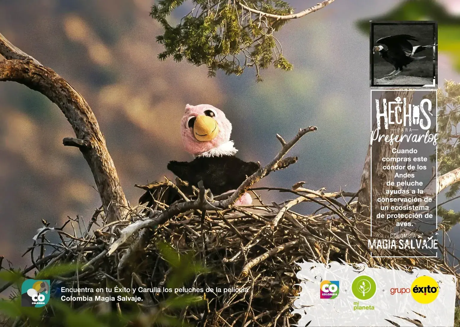 Cóndor de los Andes de peluche en nido, protección de aves andinas.