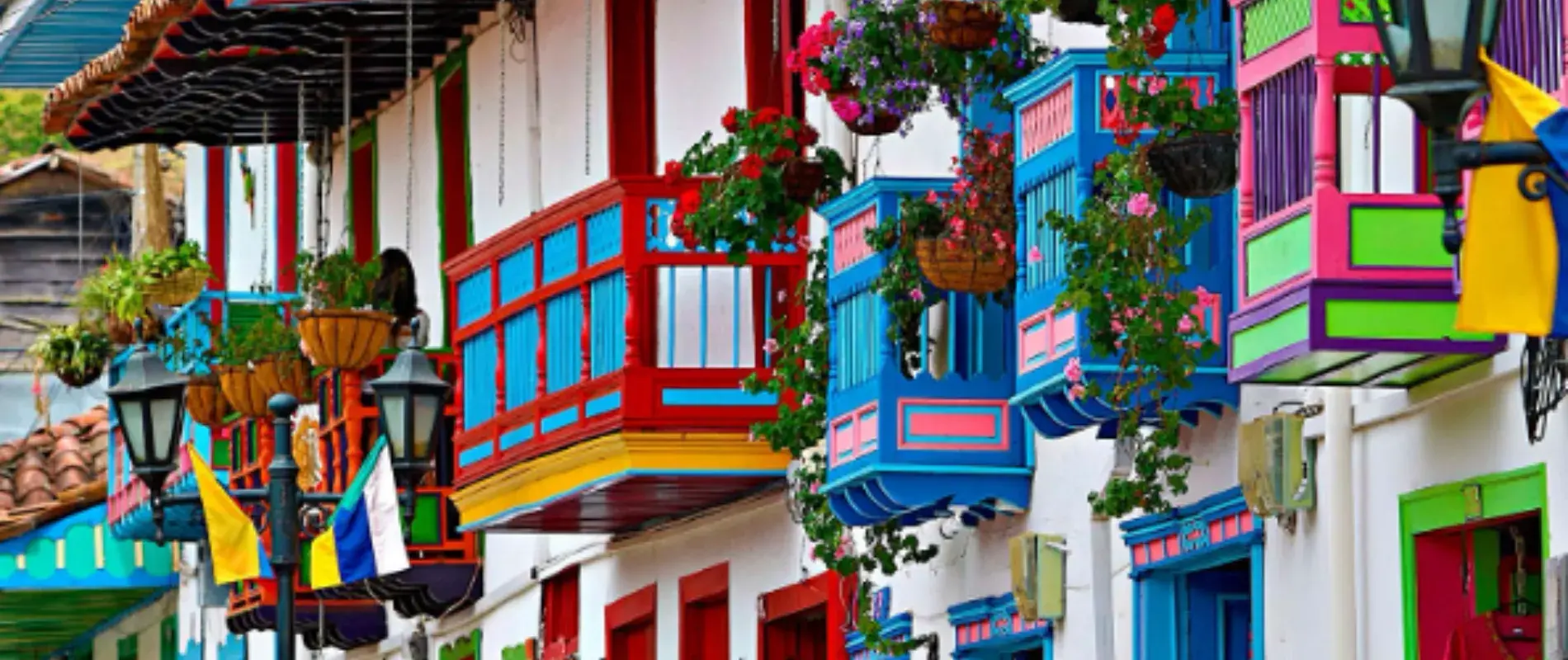 Efe Cafetero, Colombia