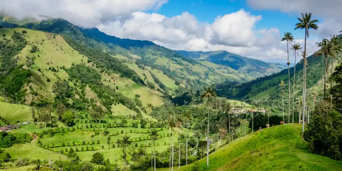 Eje Cafetero