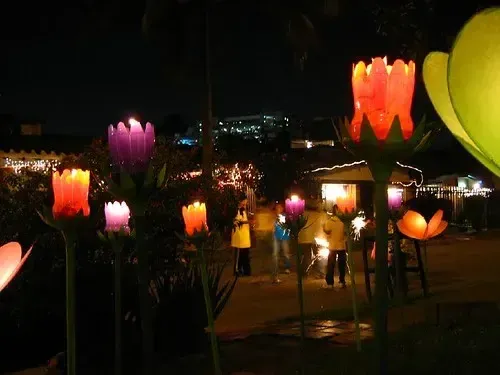 Colorful luminous flowers at night