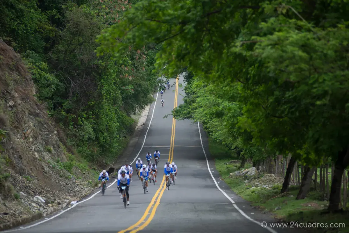 Grupo de ciclistas subiendo una colina boscosa en carretera.