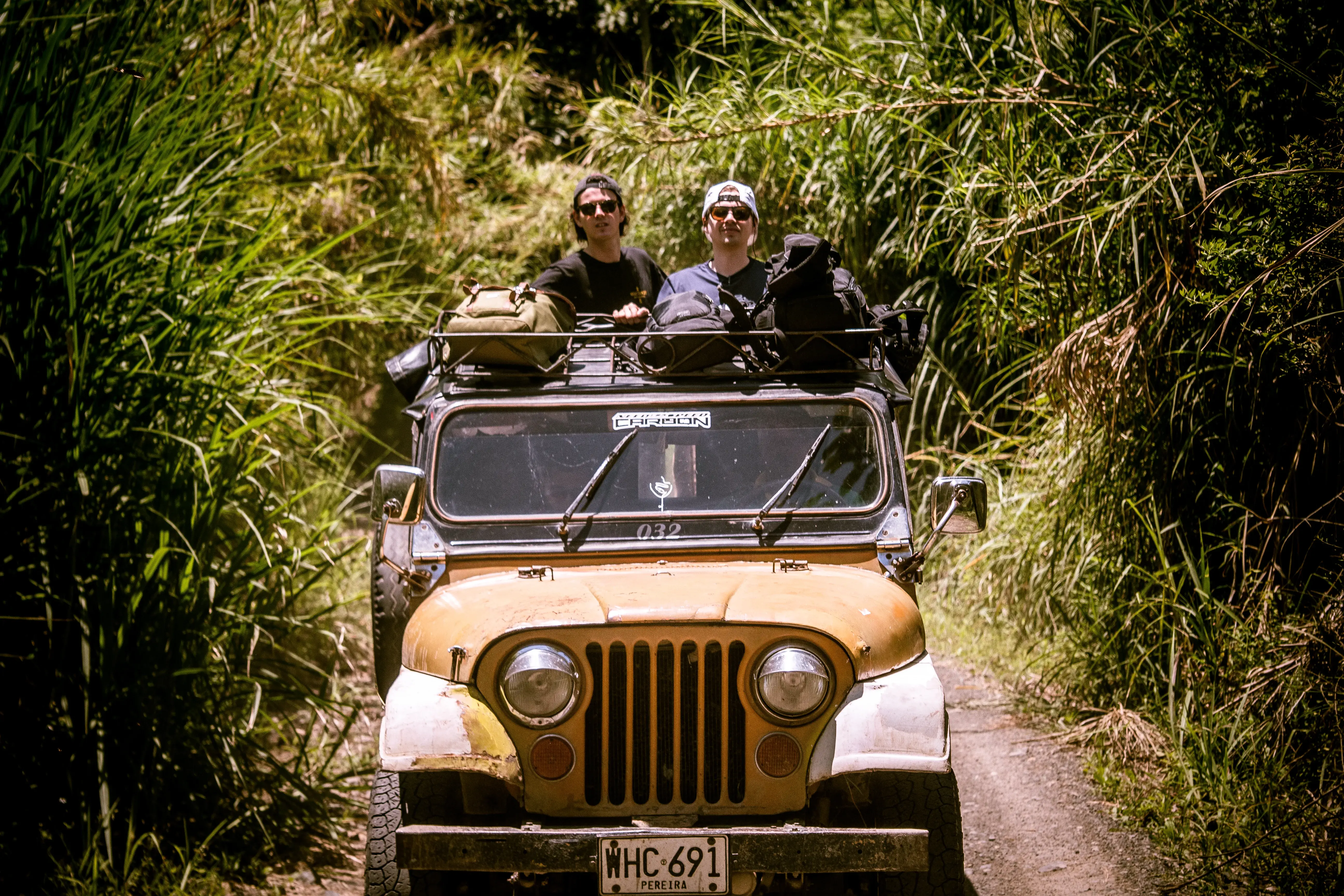 Dos hombres en un Jeep Willys viejo conduciendo por un camino de tierra rodeado de vegetación alta.